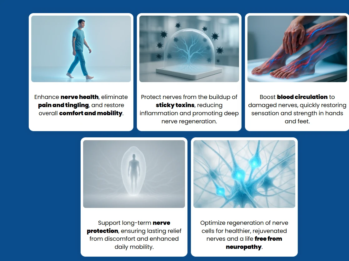 Nervecept benefits — enhance nerve health and ease pain and tingling, protect nerves, boost circulation, long-term nerve protection and nerve-cell regeneration